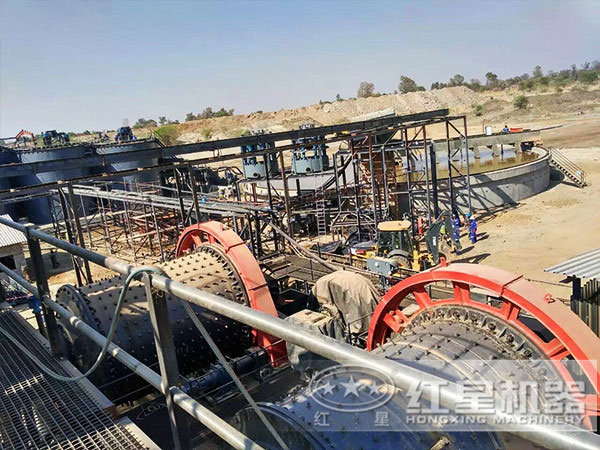 红星安博(中国)现场图